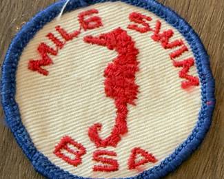 Boy Scouts