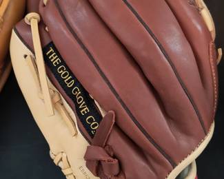 The Gold Glove Baseball Glove