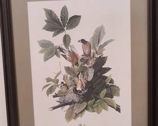 Bird Art