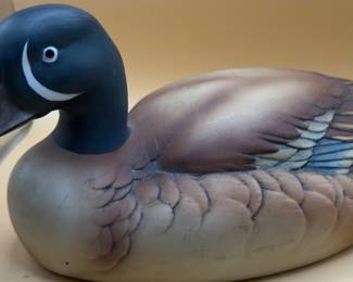 Duck
