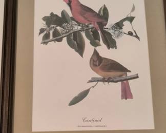 Bird Art