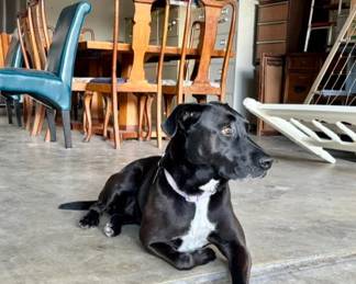 Pepper & Garage