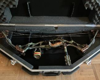 Hoyt compound bow