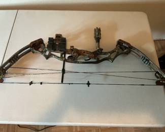 Hoyt Compound bow