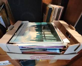 Vinyl Record Collection LP Albums 45s