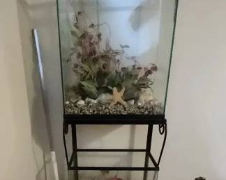 Pair of Glass Terrariums with Decorative Fill Display Cases or Habitat Enclosures