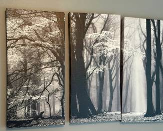 Selection of Beautiful Framed Oil Paintings on Canvis
