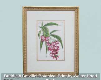 Buddleja Colvillei Botanical Print by Walter Hood Fitch second image