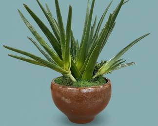 Artificial Aloe Vera Plant in Ceramic Pot second image