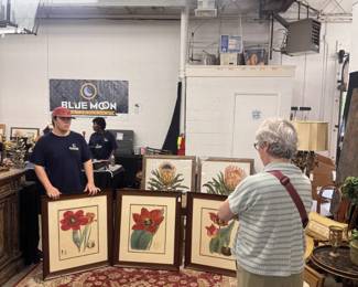Botanical Prints of Tulips and Protea