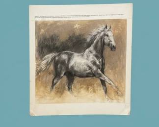 Collection of Zoological and Equestrian Prints second image