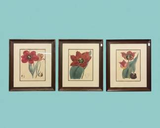 Botanical Prints of Tulips and Protea second image