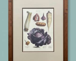 VilmorinAndrieux Botanical Print of Vegetables  Le Jardin Potager second image