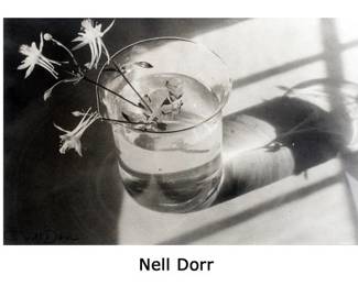 Nell Dorr