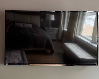Sony Bravia 50" TV.
