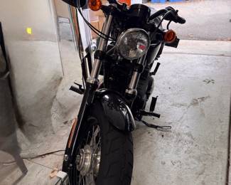 2013 Harley-Davidson Sportbike Motorcycle FORTY-EIGHT XL1200X. Photo 1 of 9.