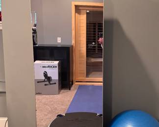 NordicTrack Vault Complete Home Gym Mirror.