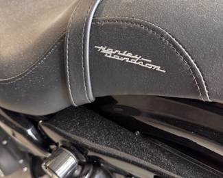 2013 Harley-Davidson Sportbike Motorcycle FORTY-EIGHT XL1200X. Photo 3 of 9.