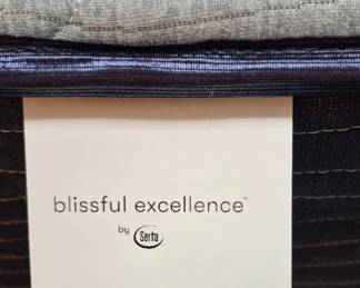 Blissfully Excellence 
