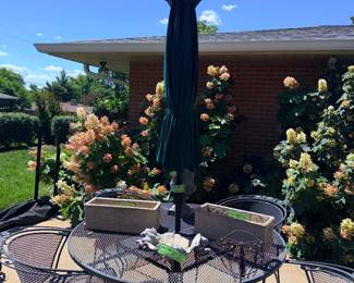 Items Located On The Back Patio
