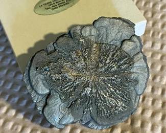 KFF015 Pyrite Sun Fossil Pendant/ Mineral Pyrite Sun Dollar