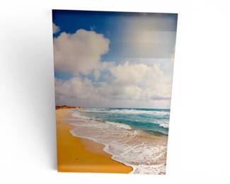 27 LargeBeachScenePhotoBackdropPanelwMetalStand