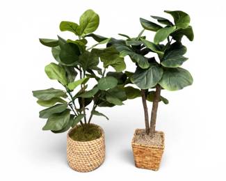 22 PairofFauxFiddleLeafFigTreeswWovenPlanters