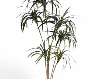 99 TallFauxTropicalTreewMultiStemTrunkinWhitePlanter74H