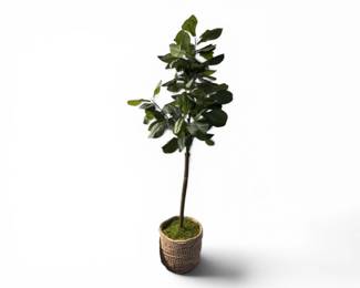 59 75FauxFiddleLeafFigTreeinWovenBasketPlanter