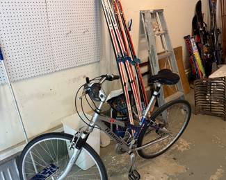 Raleigh Bike