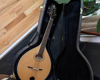 Mandolin