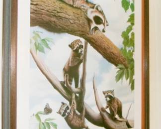 WILDLIFE PICTURE