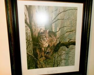 WILDLIFE PICTURE