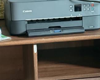 Canon PIXMA TS6420a All-in-One Printer