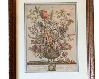 678 - Framed Print "February" - 23 x 19 (Description): The 12 Months of Flowers