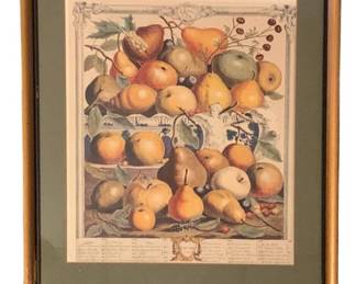 443 - Framed "January" Print - 21 x 17.5 (Description): The 12 Months of Fruits