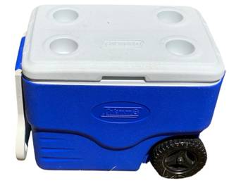 79 - Coleman Cooler - 17 x 22 x 14