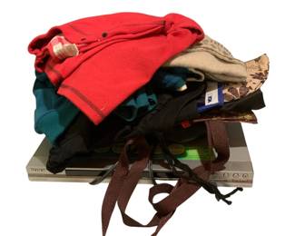 385 - Lot of Assorted Clothing Items & DVD Player (Description): Used as is electric/electronic/mechanical item. No guarantee all components, untested.