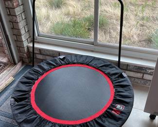 Small trampoline-40”