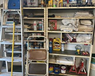 GARAGE MISC. YARD CHEMICALS STEP STOOLS LADDER