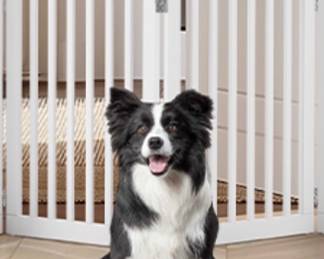 Freestanding 2-Panel Pet Gate with Support Feet