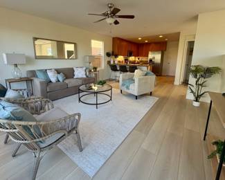 Beachy vibe living room with sofa, accent chairs, rug, coffee table, side tables, plants, throw pillows