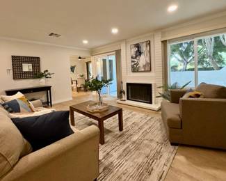 Living room sofas, coffee table, large rug, wall art, faux plants, table top decor