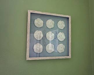 Framed Coral Specimen Wall Art