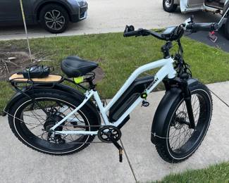 Electric bike oh wonderful, cruising machine