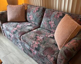 Sleeper Sofa