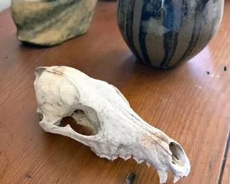 Animal artifacts, pottery