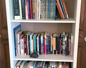 Bookcase, books