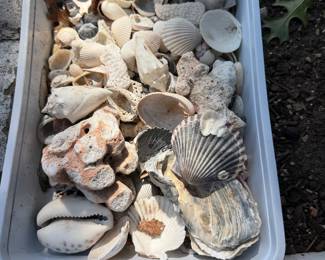 Bin of shells