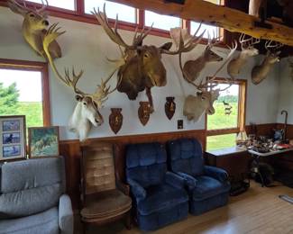 Recliners, Taxidermy, Wingback Chair, Hunting Trophies